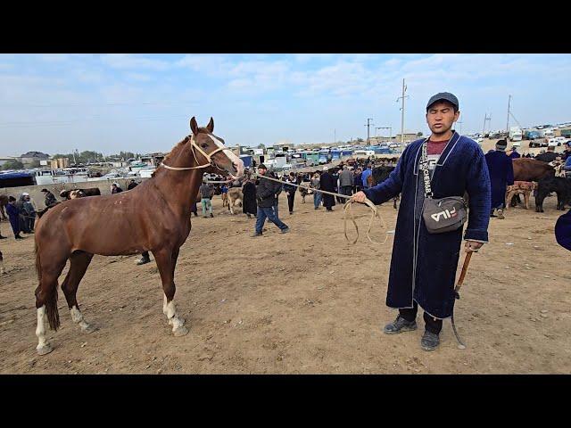 QASHQADARYO CHIROQCHI CHORSHANBI OT  BOZORI