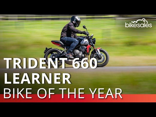 Triumph Trident 660: 2021 bikesales Learner Bike of the Year Winner