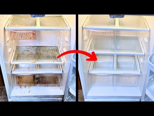 Secrets to Deep Clean Your Fridge