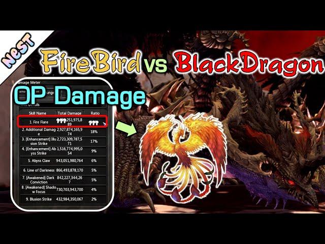 FireBird DPS test on Black Dragon / OP damage / DragonNest SEA