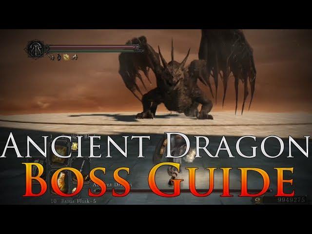 Dark Souls 2: Ancient Dragon Boss Guide | EASY way to kill him (NG+++)