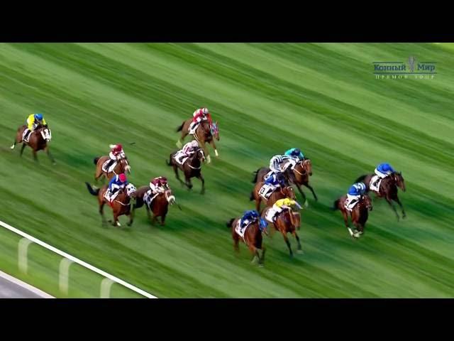 Скачки в Дубае Dubai World Cup 2016