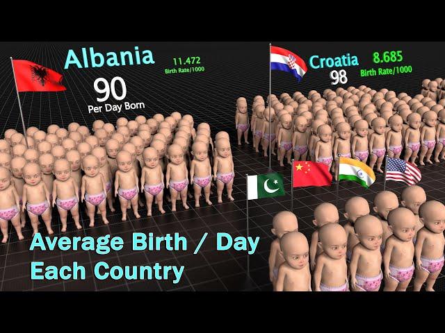 How many Babies are Born per day in Each Country  | Country Birth Rate Comparison in 3D |