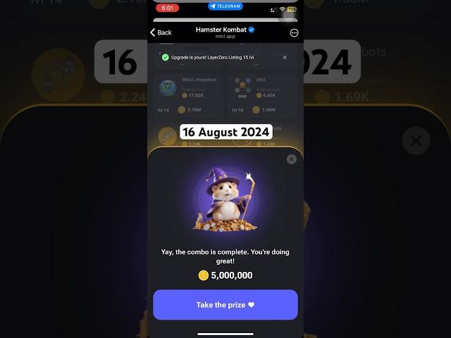 Hamster Kombat 16 August Daily Combo Cards