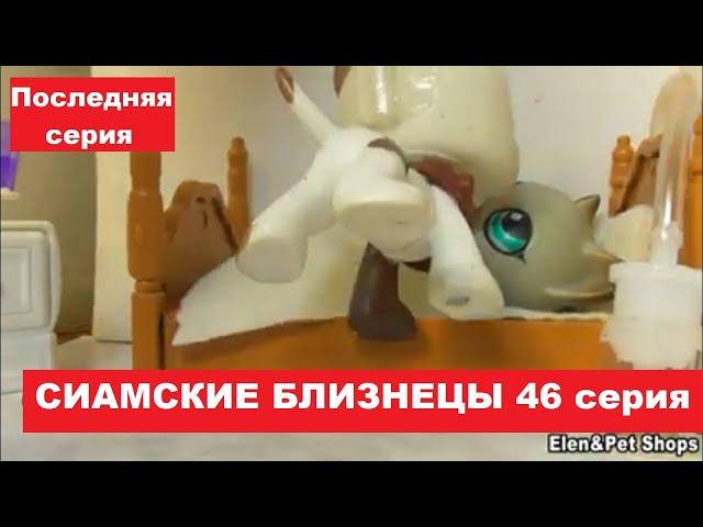 LPS Сиамские близнецы 46 серия (Конец)