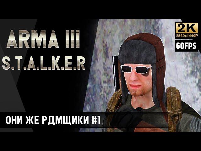 ОНИ ЖЕ РДМЩИКИ. ЧЕГО С НИХ ВЗЯТЬ ТО? | ARMSTALKER |