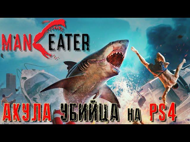 MANEATER ПЕРВЫЙ ВЗГЛЯД НА PS4 [АКУЛА УБИЙЦА ОБЗОР ИГРЫ] - ПОЩАДЫ НЕ ЖДИ от DVGAME