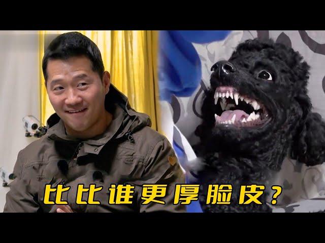 主人模仿訓犬師教育小狗，沒想訓了半年全是錯的，節目組：這是黑粉