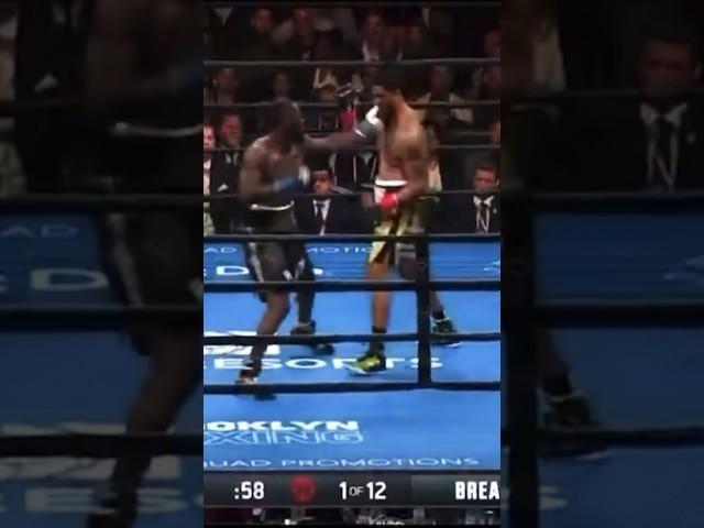 Is Wilder the hardest puncher of all time?? #boxing