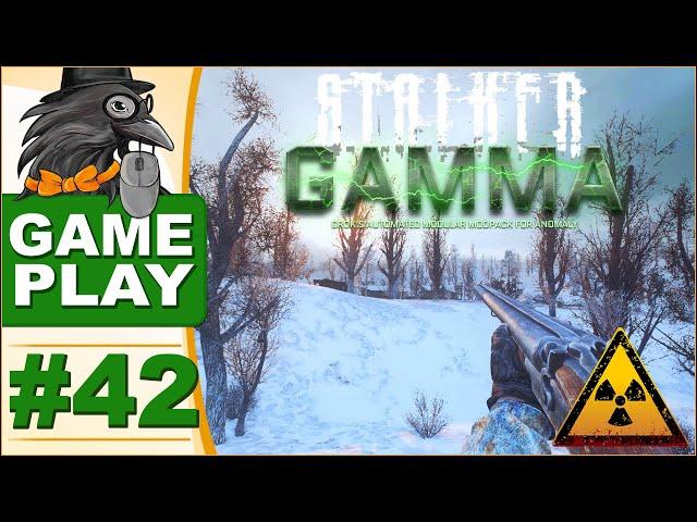  W drodze do kryjówki Strieloka  - ️ STALKER GAMMA ️ (Anomaly)