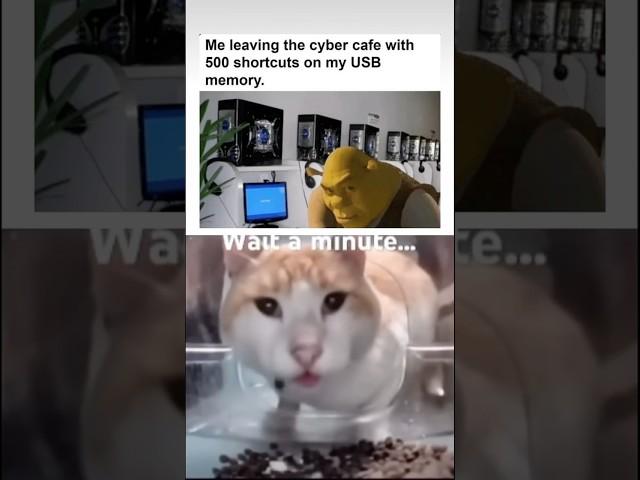 If you know you know #helpmemakethismakesense #cat #memes #funny #cute #silly #memecore #tech #pc