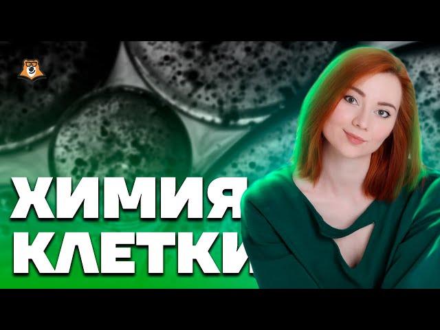 Химия клетки - первая тема для изучения | Биология ЕГЭ 2023 | Умскул