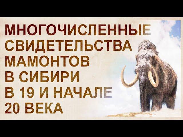 Mammoths are not yet extinct. Evidence from the 19th and early 20th centuries