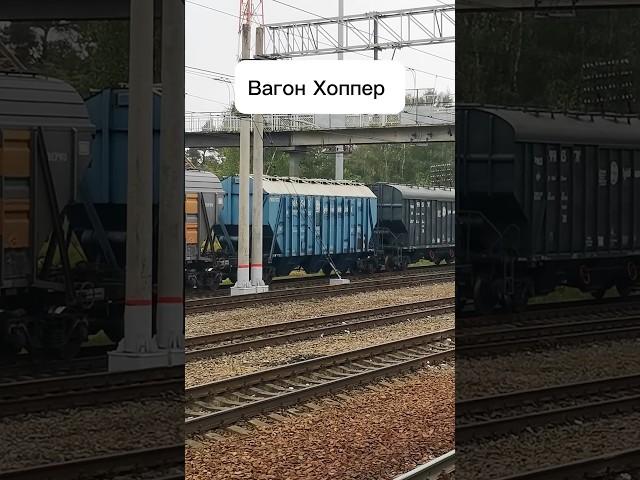 Бункерный вагон Хоппер. Транспортная логистика И ЖД перевозки