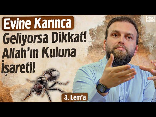 Evine Karınca Geliyorsa Dikkat! Allah’ın Kuluna İşareti! - 3. Lema - İhya | Fatih Ünal