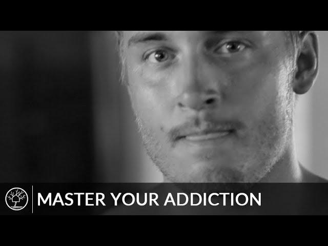 Tree House Recovery | Master Your Addiction