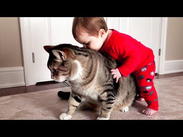 Babies and Pets Become Instant Best Friends  Funniest Baby Videos Ever
