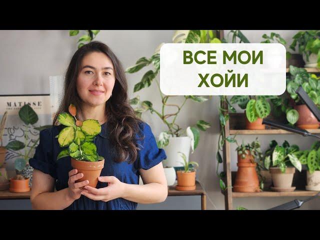 22 разные ХОЙИ / ОБЗОР всех моих хой