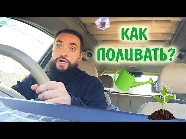 Обо всем за рулем #16 / Как поливать растения / Mr.GrowChannel