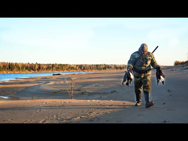 СОТНИ УТОК С СЕВЕРА! ЛУЧШАЯ ОХОТА ПЕРЕД ЗИМОЙ. 2 ДНЯ В ПАЛАТКЕ НА ПЛЯЖЕ. ШУЛЮМ ИЗ УТКИ.