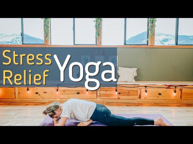 Yoga for Stress Relief - 25 Min Gentle Yoga  - Yoga with Yana