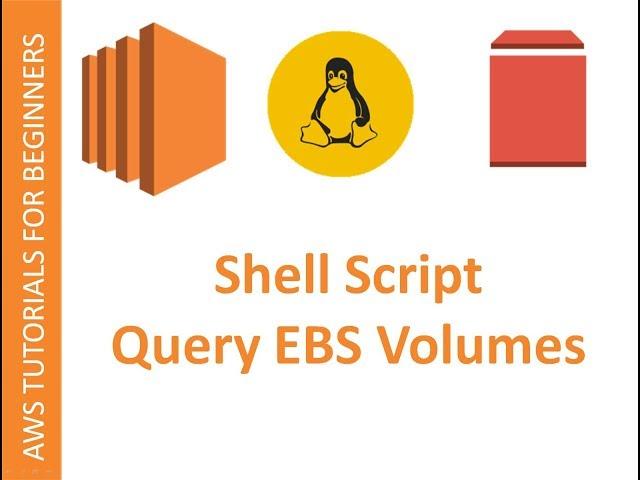 AWS CLI  | Shell script to Query EBS Volumes