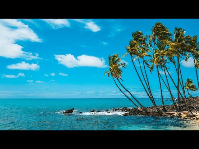 Caribbean Beach Jazz 24/7Relaxing Tropical Music & Bossa Nova with Ocean Waves Sounds for Good Mood