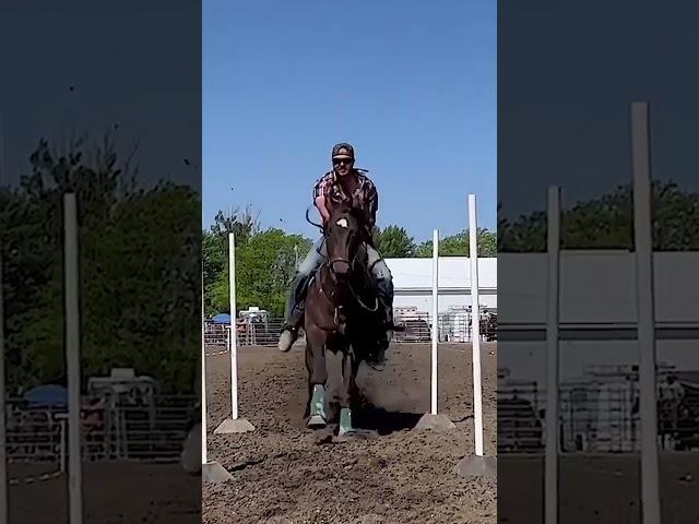 #nsca #omoksee #horse #rodeo #horseshow #western #westernriding #aqha #youtubeshorts #subscribe