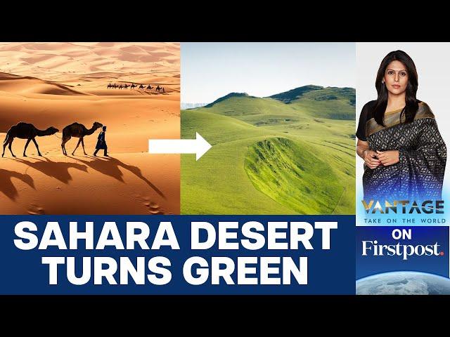 Sahara Turns Green: Should we Celebrate or Worry? | Vantage with Palki Sharma