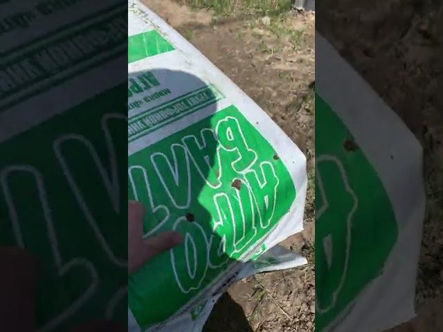 Лучший грунт для посадки любых растений Агробалт(PINDSTRUP) более 20 лет выращивания с 2000-2022г.