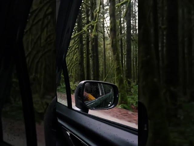 4K relaxing video