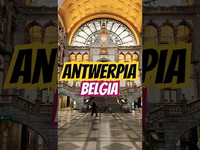 Co zwiedzić w Antwerpii? część pierwsza #antwerpia #podróże #belgia
