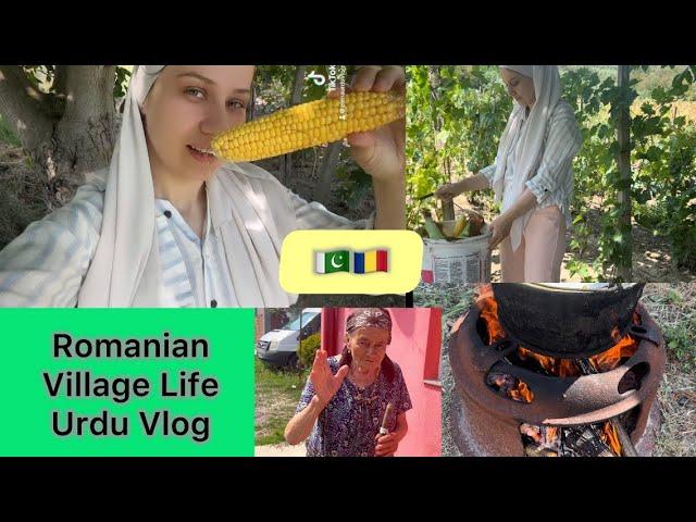 Romanian Village Life | Desi Cooking | Urdu Vlog  | Like Pakistan