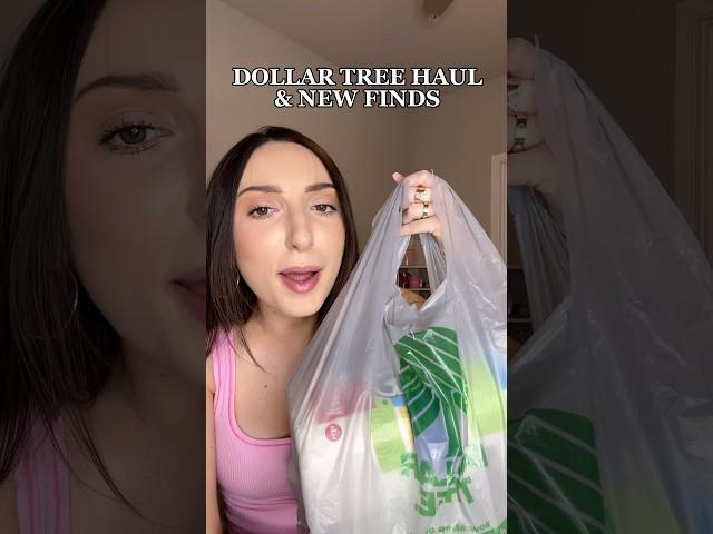 DOLLAR TREE HAUL  #dollartree #dollartreefinds #dollartreehaul #newatdollartree #dollartreemakeup