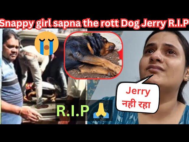 The Rott Owner Jerry R.I.P @snappygirls02 @THEROTT @Beinganshu0