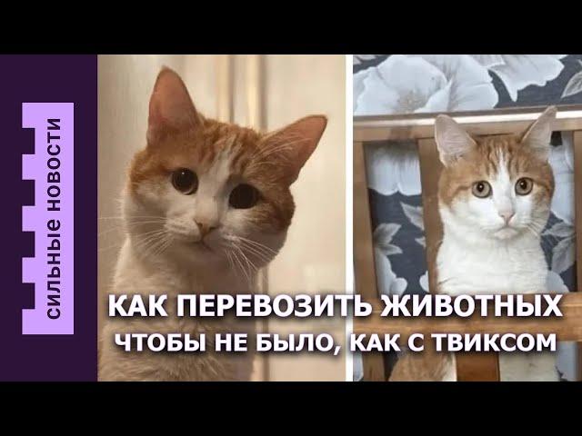 Компенсация авто, на которое упало дерево / В Беларуси построят реактор / Сколько изъяли наркотиков