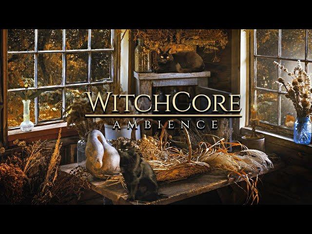 WitchCore ◈ Autumn Forest  Good Witch Cabin / Cats, Herbs, Light Rain + Soft Music