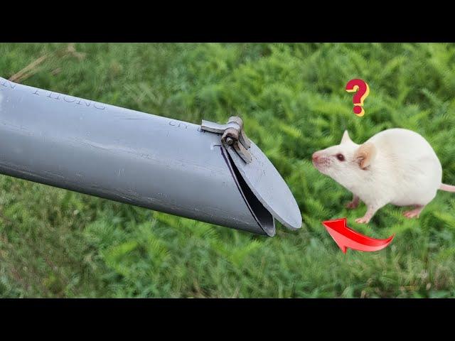 PVC PIPE TRICKS. How To Prevent Rats, Snakes, Cockroaches, From Getting Into The Sewer Pipe?