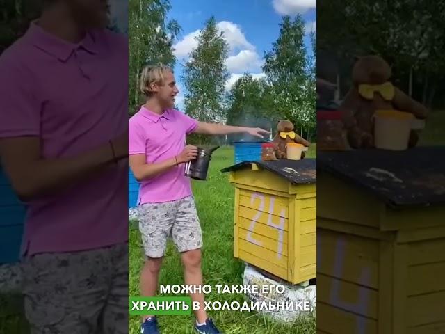  Как правильно хранить мёд ?