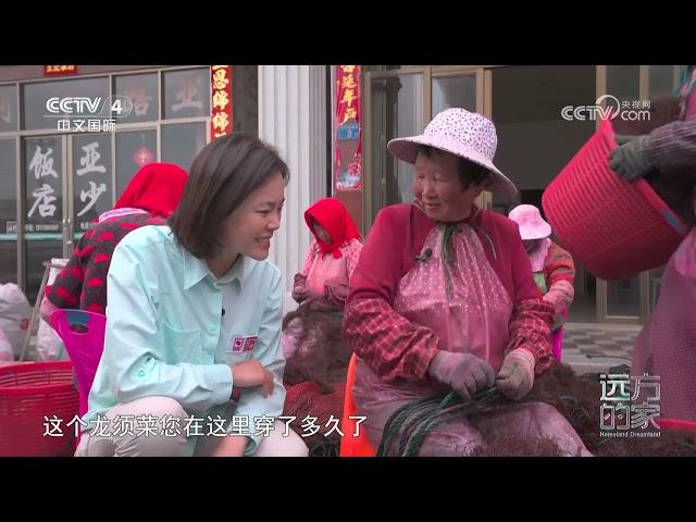 《远方的家》 20231212 沿海看中国（32） 寻味“莆鲜” “醉美”南日|CCTV中文国际