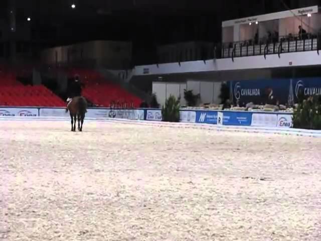Cavaliada Poznań 2010