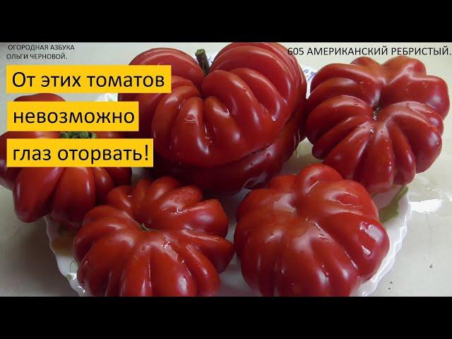 70 лучших сортов томатов в одном видео! Томаты с описанием! Фото томатов на разрезе!