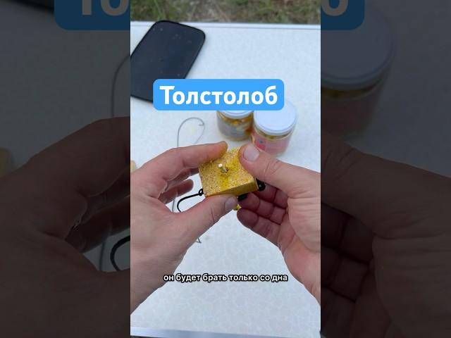 Снасть для рыбалки на толстолоба / монтаж для рыбалки со дна