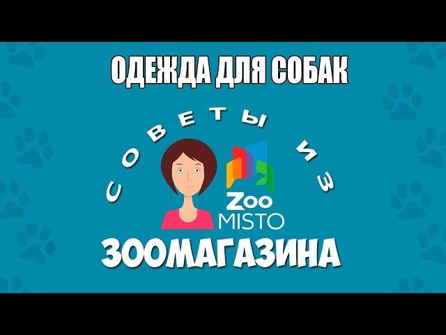 Одежда для собак | Нужна ли собакам одежда? | Одежда собачьего гардероба | Советы из зоомагазина