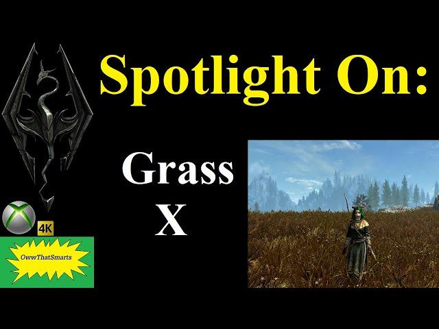 Skyrim SE (mods) - Spotlight On: Grass X