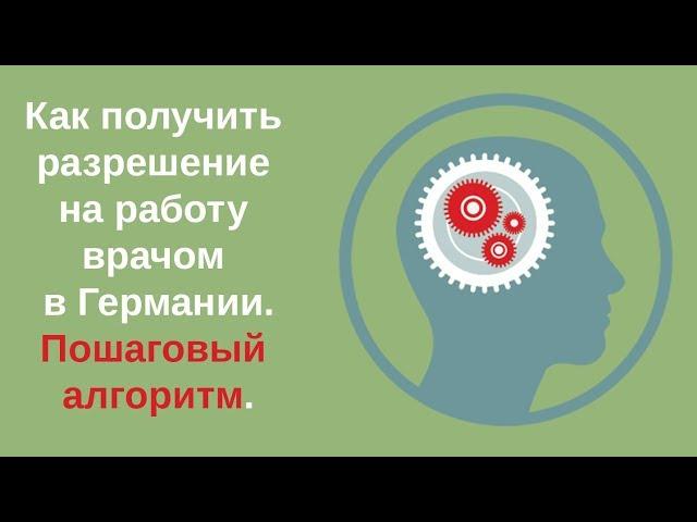 Как получить разрешение на работу врачом в Германии. Пошаговый алгоритм.