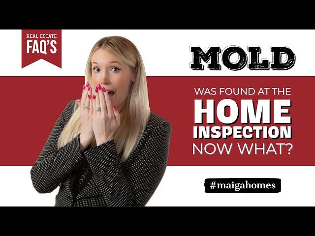 We Found Mold at the Home Inspection, Now What? | Maiga Homes | Real Estate FAQ’s