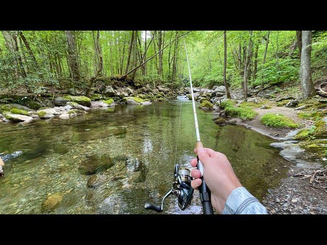 Wild TROUT Fishing with Spinners DEEP in the Mountains