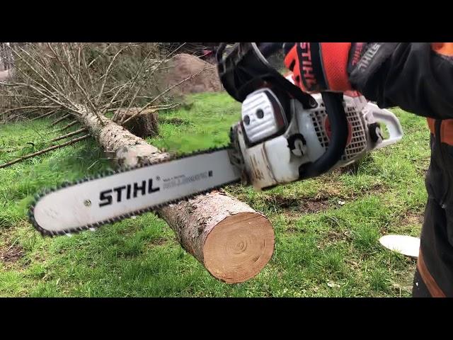 Stihl MS 251