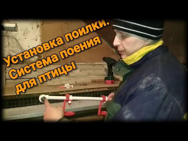 Установка ниппельной поилки для птиц. Система поения.